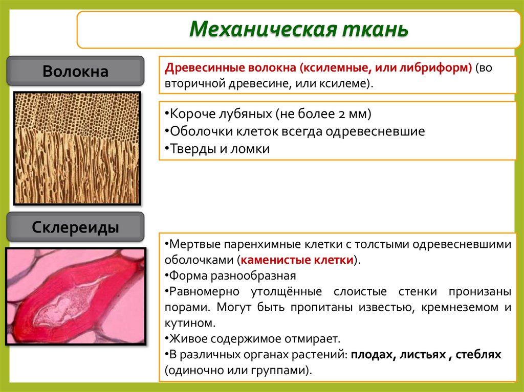 Механическая ткань