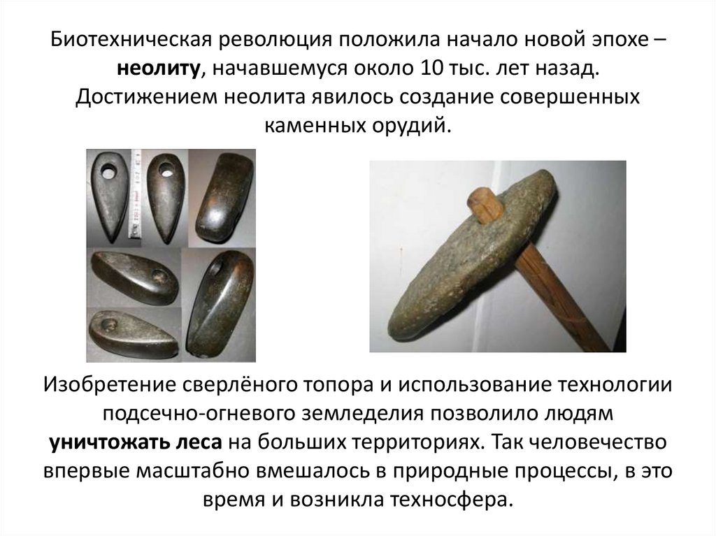 Биотехническая революция положила начало новой эпохе – неолиту, начавшемуся около 10 тыс. лет назад. Достижением неолита