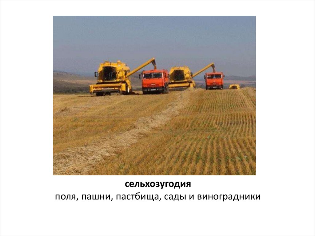 сельхозугодия поля, пашни, пастбища, сады и виноградники