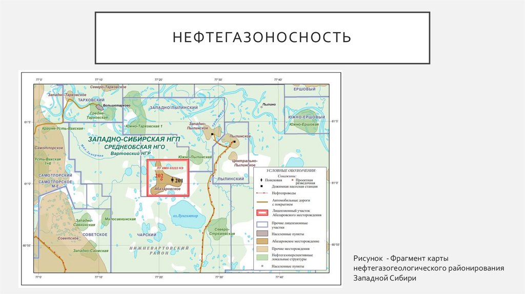 Нефтегазоносность