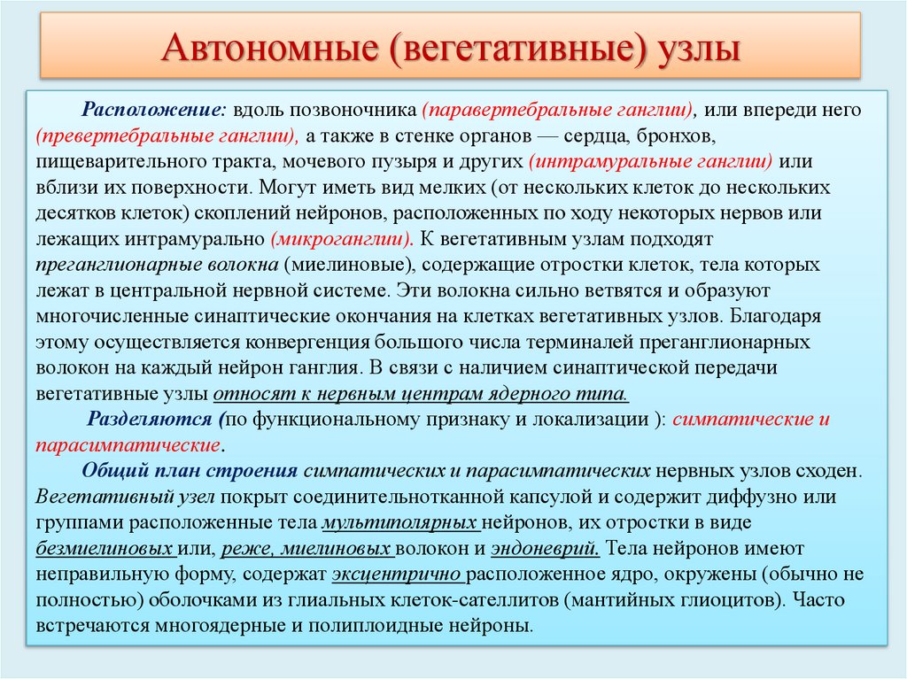 Автономные (вегетативные) узлы