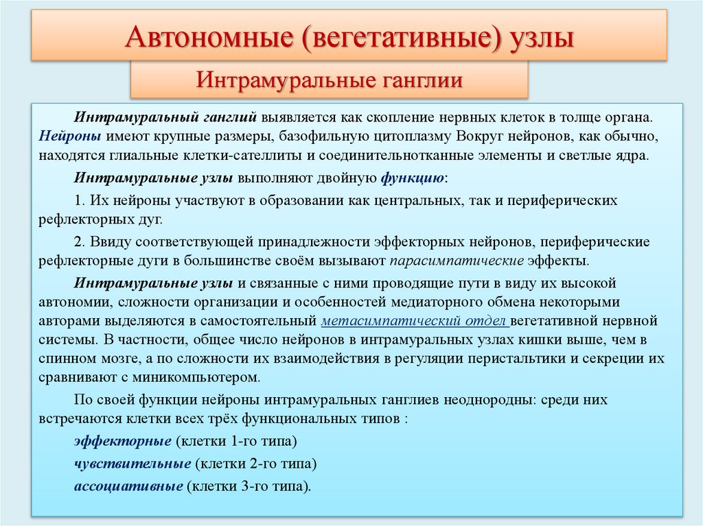 Интрамуральные ганглии