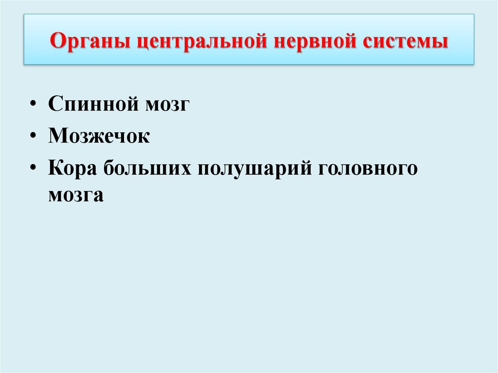 Органы центральной нервной системы