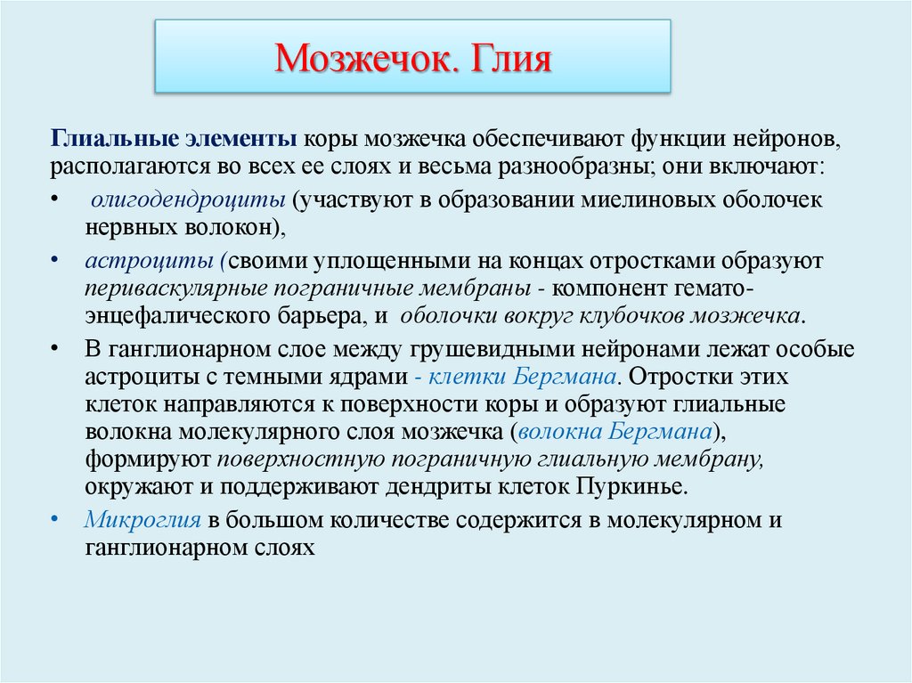 Мозжечок. Глия