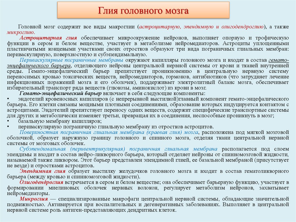 Глия головного мозга