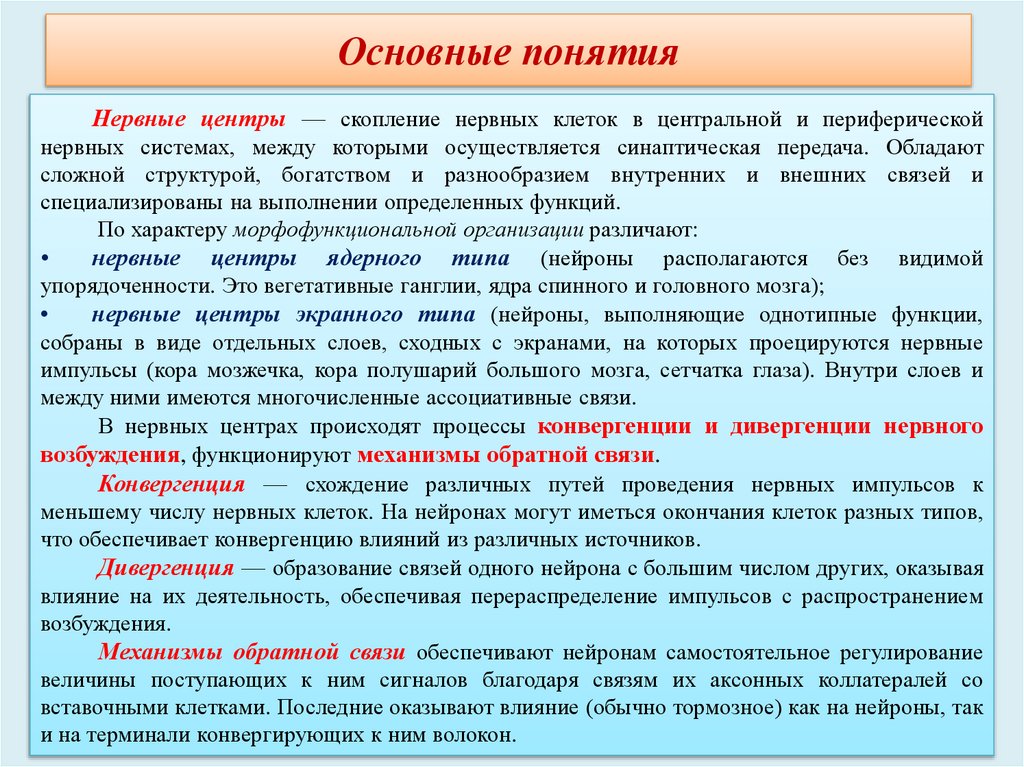 Основные понятия