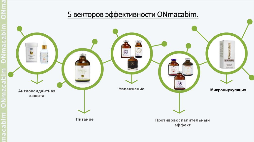 5 векторов эффективности ONmacabim.
