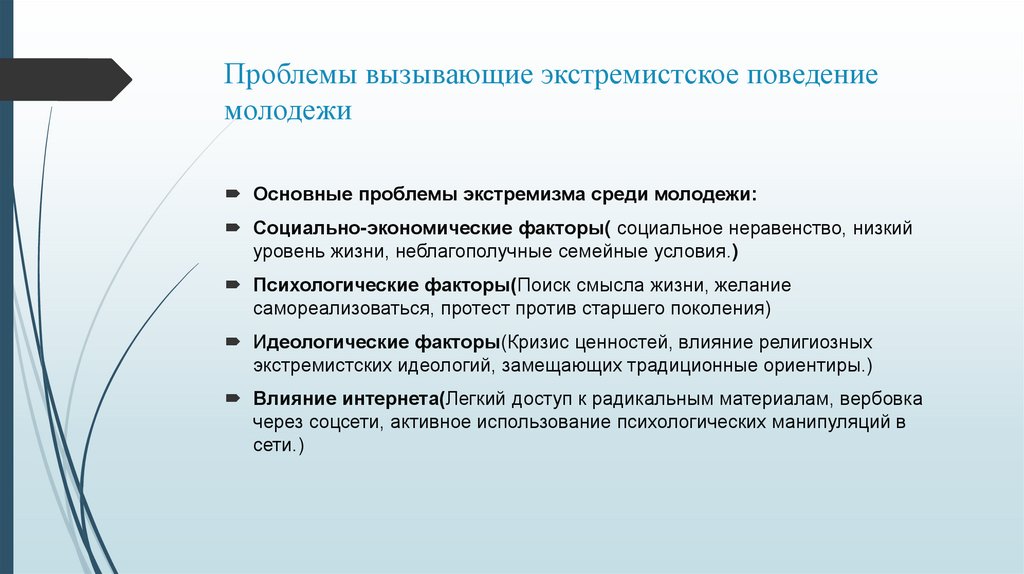 Проблемы вызывающие экстремистское поведение молодежи
