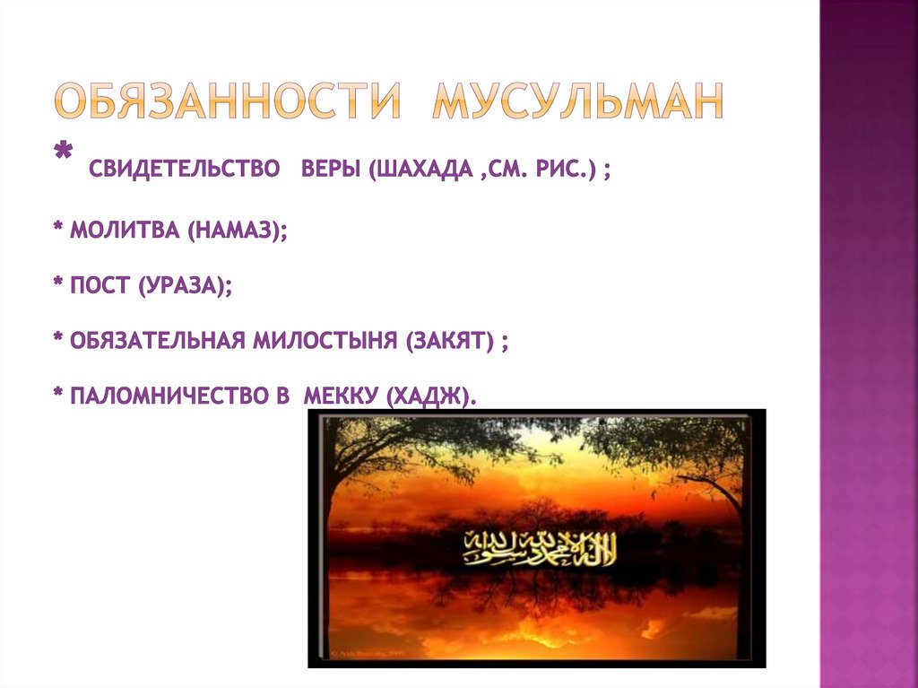 Обязанности мусульман * свидетельство веры (шахадА ,см. рис.) ; * молитва (намаз); * пост (ураза); * обязательная милостыня