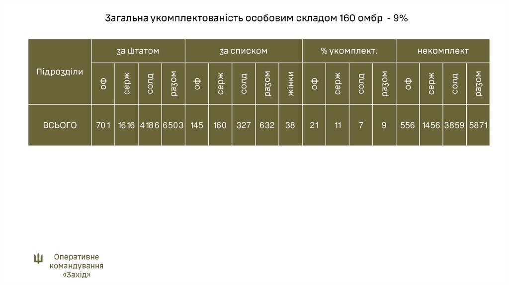 Загальна укомплектованість особовим складом 160 омбр - 9%