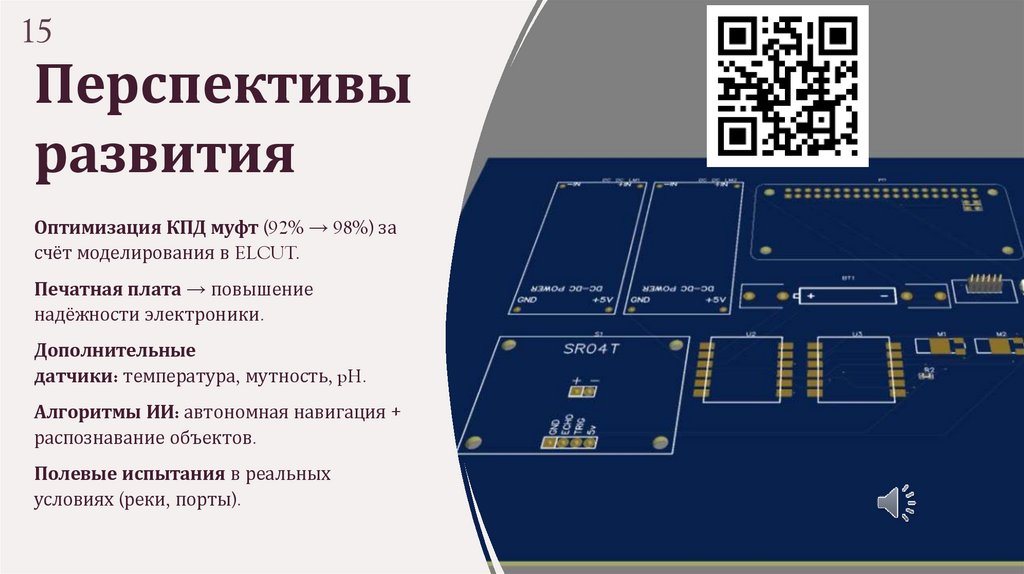 Перспективы развития