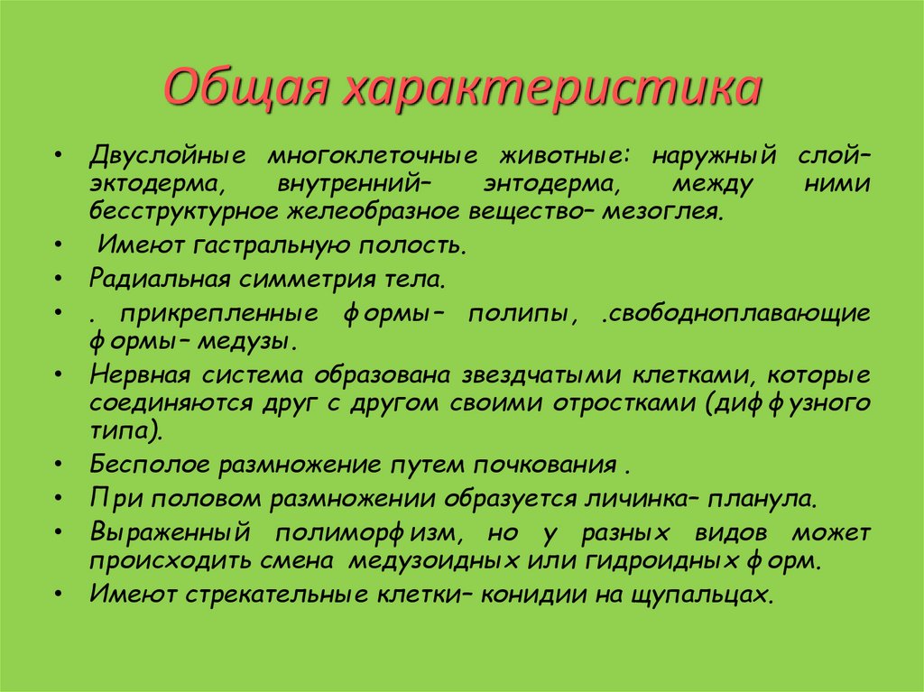 Общая характеристика