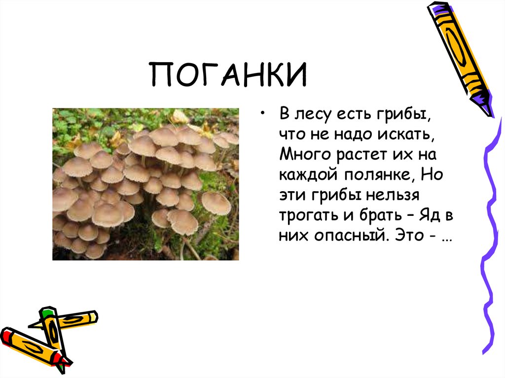 ПОГАНКИ