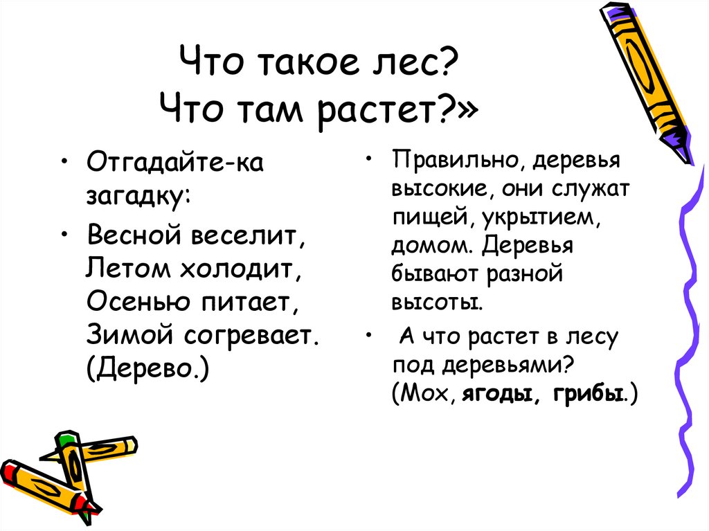 Что такое лес? Что там растет?»