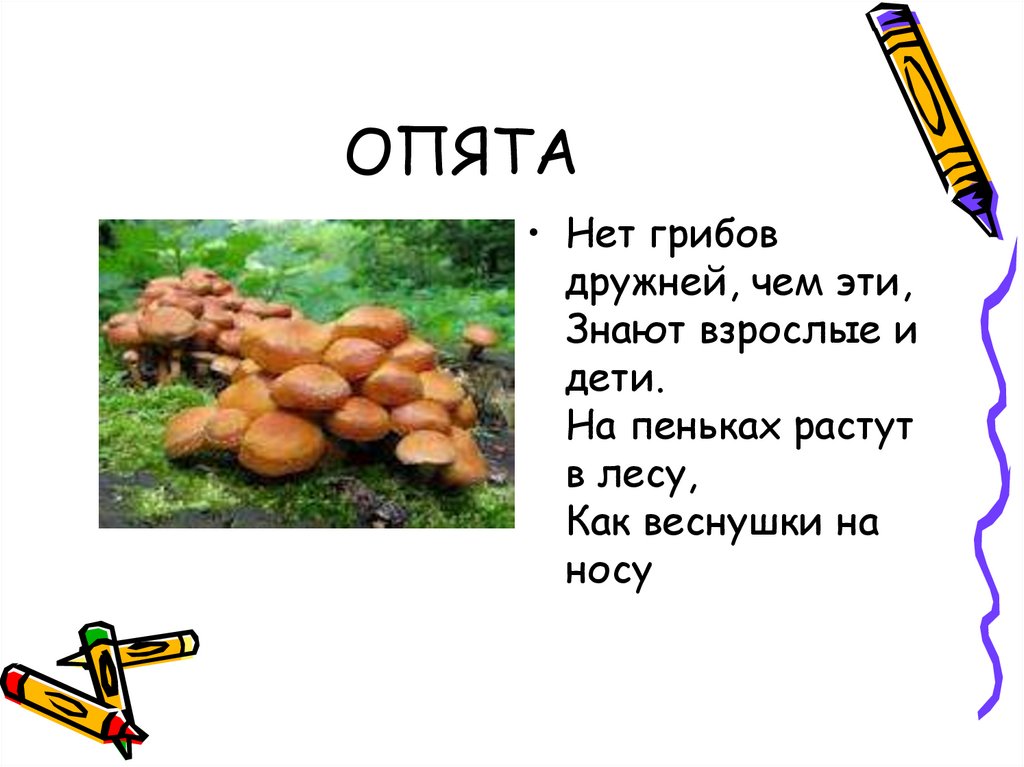 ОПЯТА