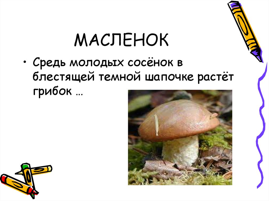 МАСЛЕНОК