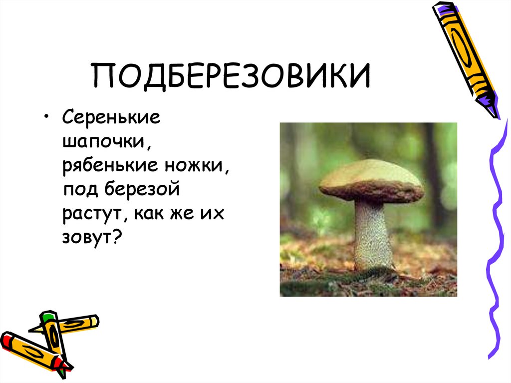 ПОДБЕРЕЗОВИКИ