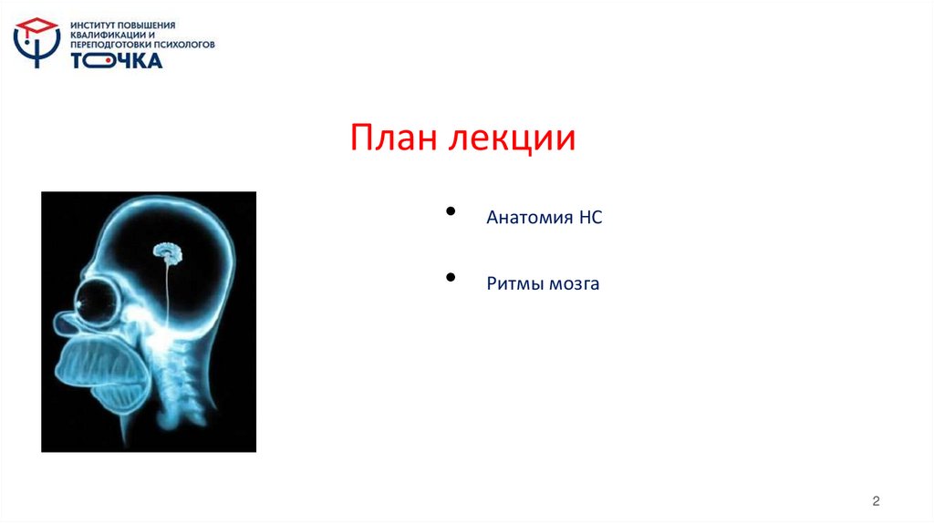 План лекции