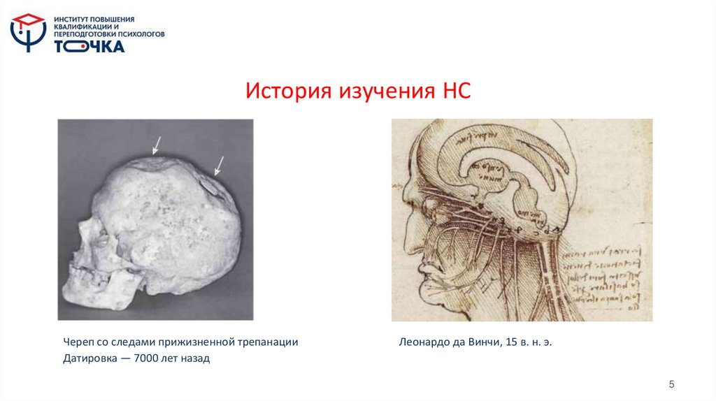 История изучения НС