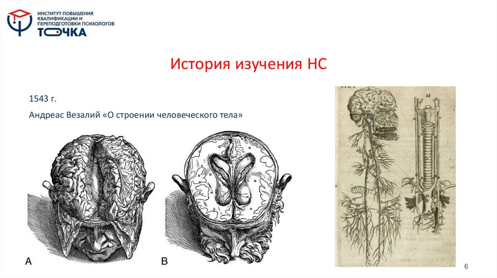 История изучения НС