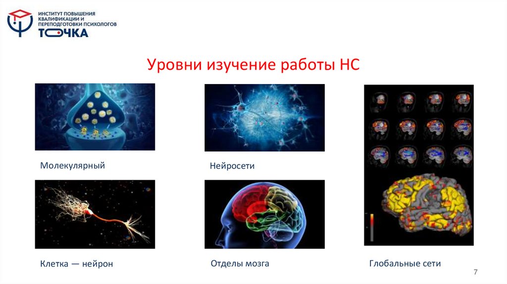 Уровни изучение работы НС