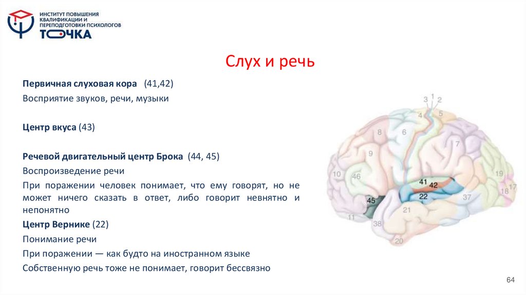 Слух и речь