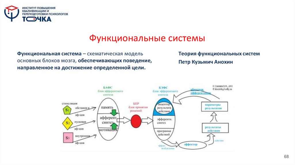 Функциональные системы