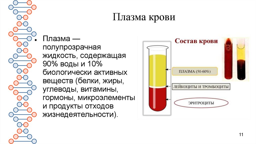 Плазма крови