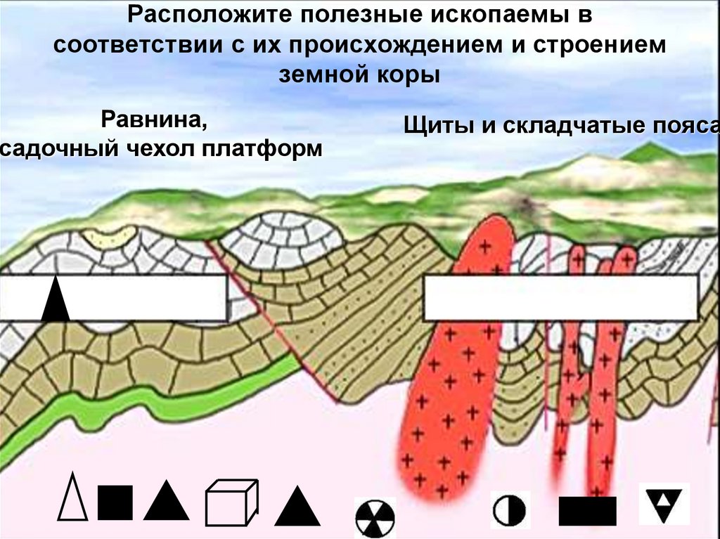 Расположите полезные ископаемы в соответствии с их происхождением и строением земной коры