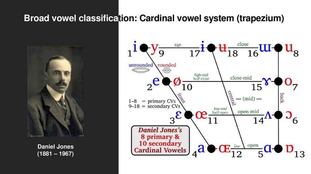 Broad vowel classification: Cardinal vowel system (trapezium)