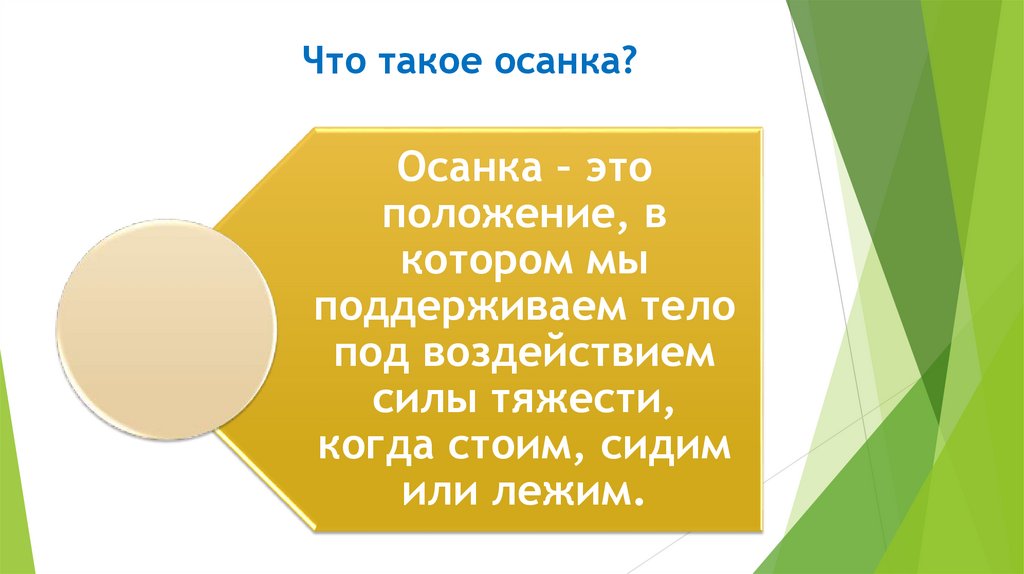 Что такое осанка?