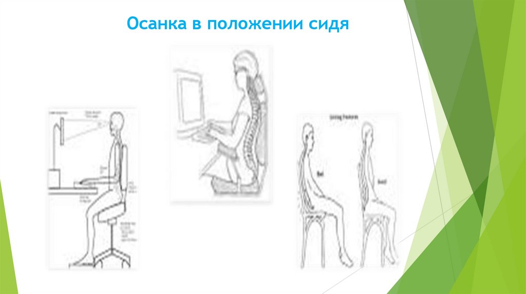 Осанка в положении сидя