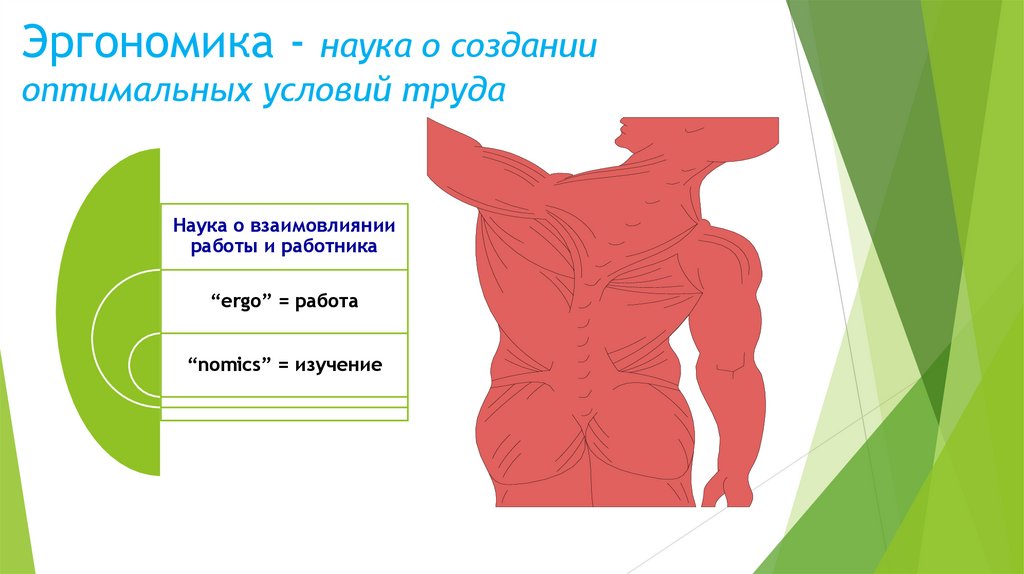 Эргономика - наука о создании оптимальных условий труда