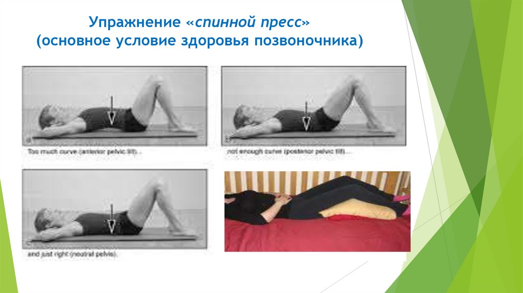 Упражнение «спинной пресс» (основное условие здоровья позвоночника)