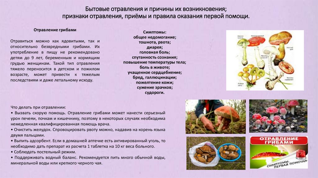 Бытовые отравления и причины их возникновения; признаки отравления, приёмы и правила оказания первой помощи.