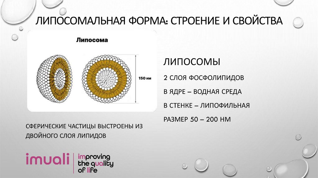 Липосомальная форма: строение и свойства