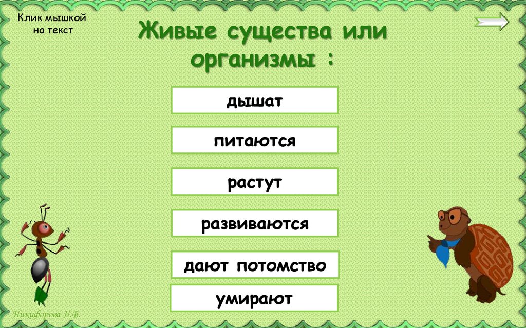 Живые существа или организмы :