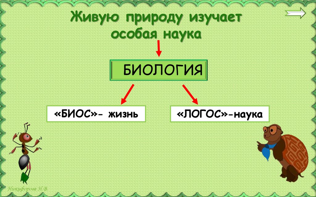 Живую природу изучает особая наука