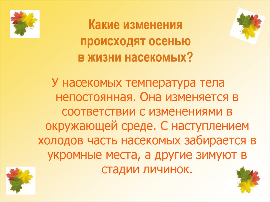 Какие изменения происходят осенью в жизни насекомых?