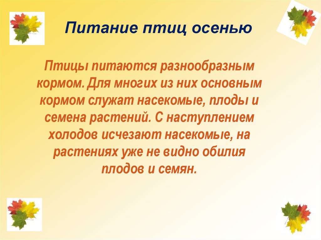 Питание птиц осенью