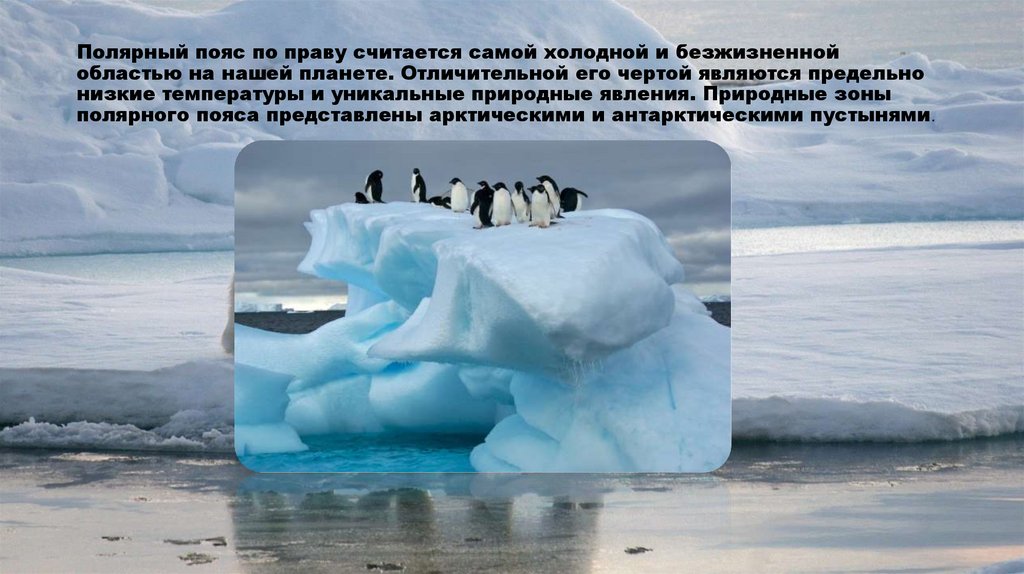 Полярный пояс по праву считается самой холодной и безжизненной областью на нашей планете. Отличительной его чертой являются