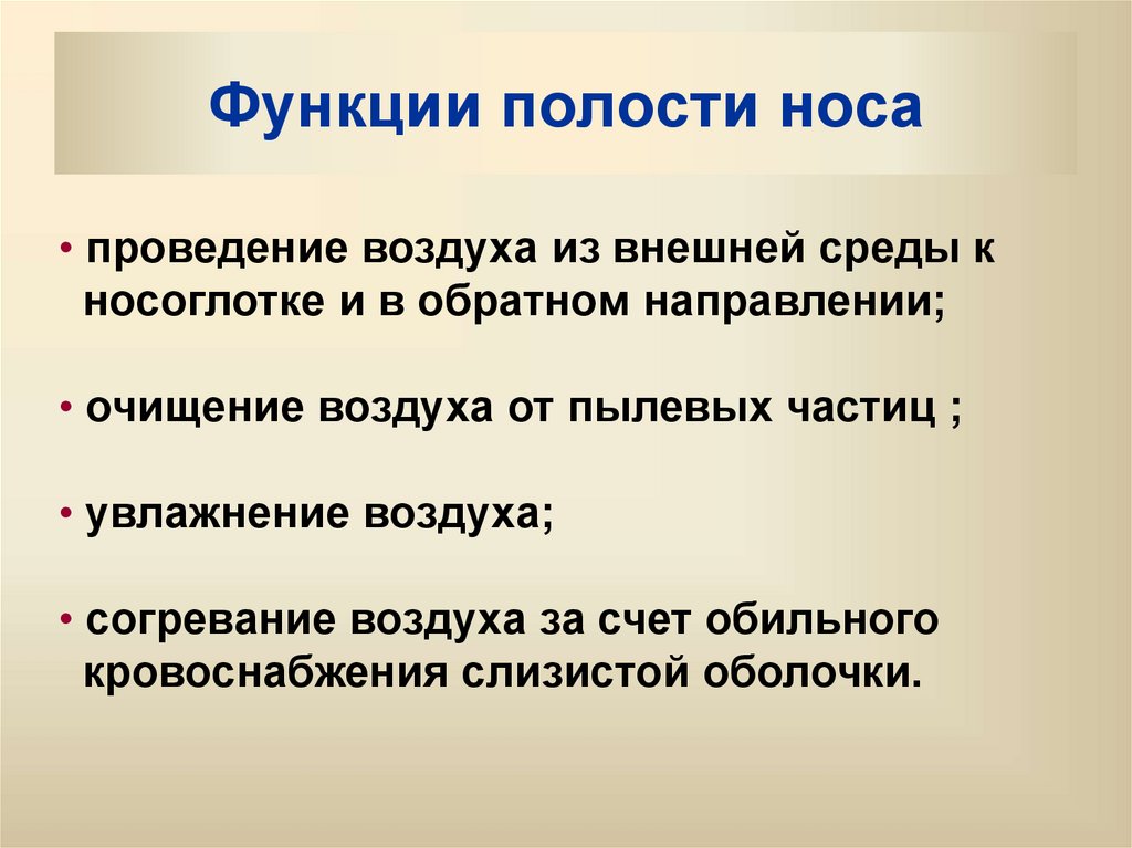 Функции полости носа