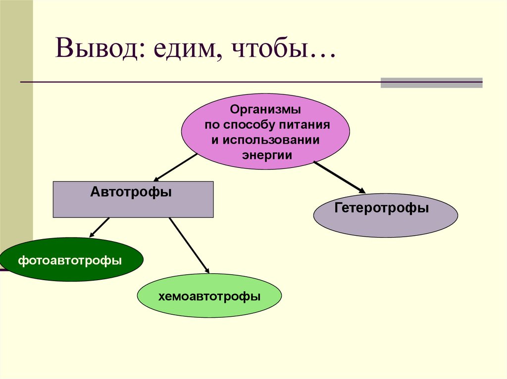 Вывод: едим, чтобы…
