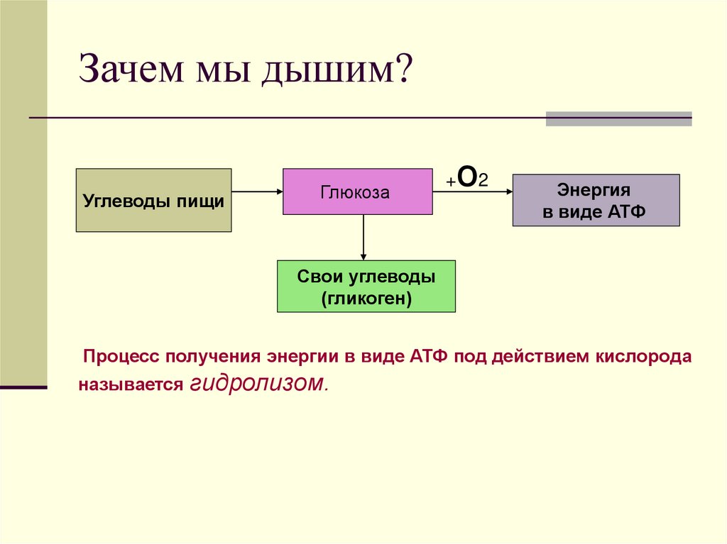 Зачем мы дышим?