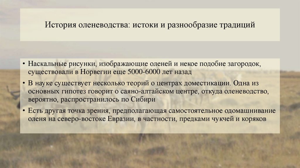История оленеводства: истоки и разнообразие традиций