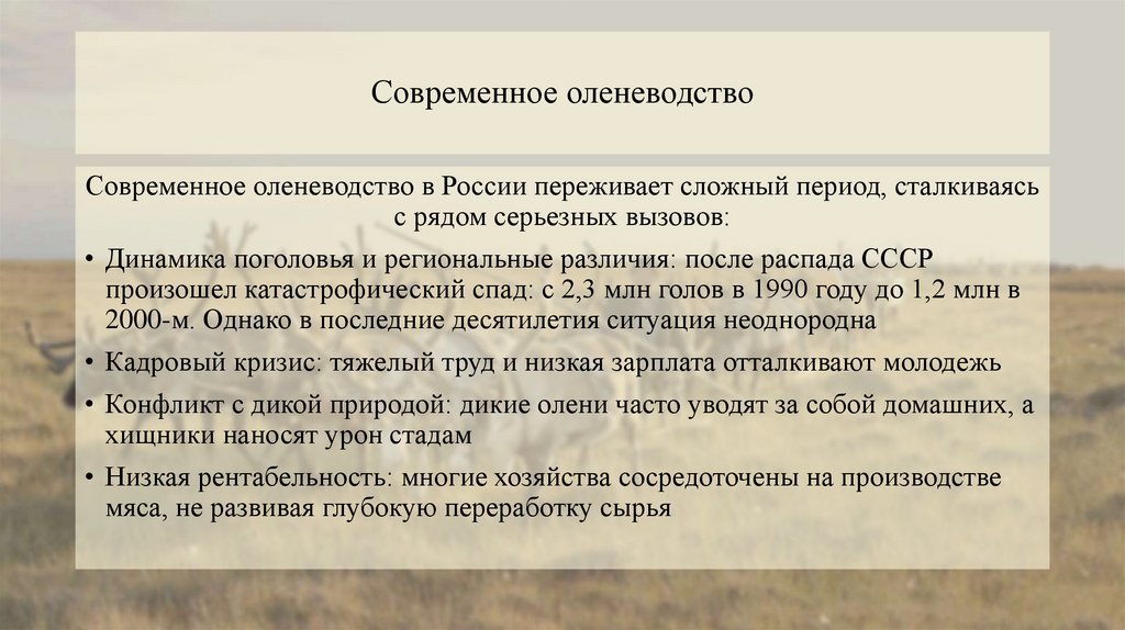 Современное оленеводство