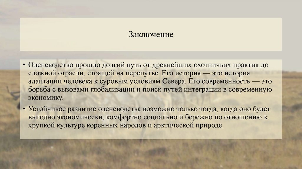 Заключение