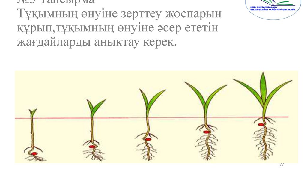 №5 Тапсырма Тұқымның өнуіне зерттеу жоспарын құрып,тұқымның өнуіне әсер ететін жағдайларды анықтау керек.