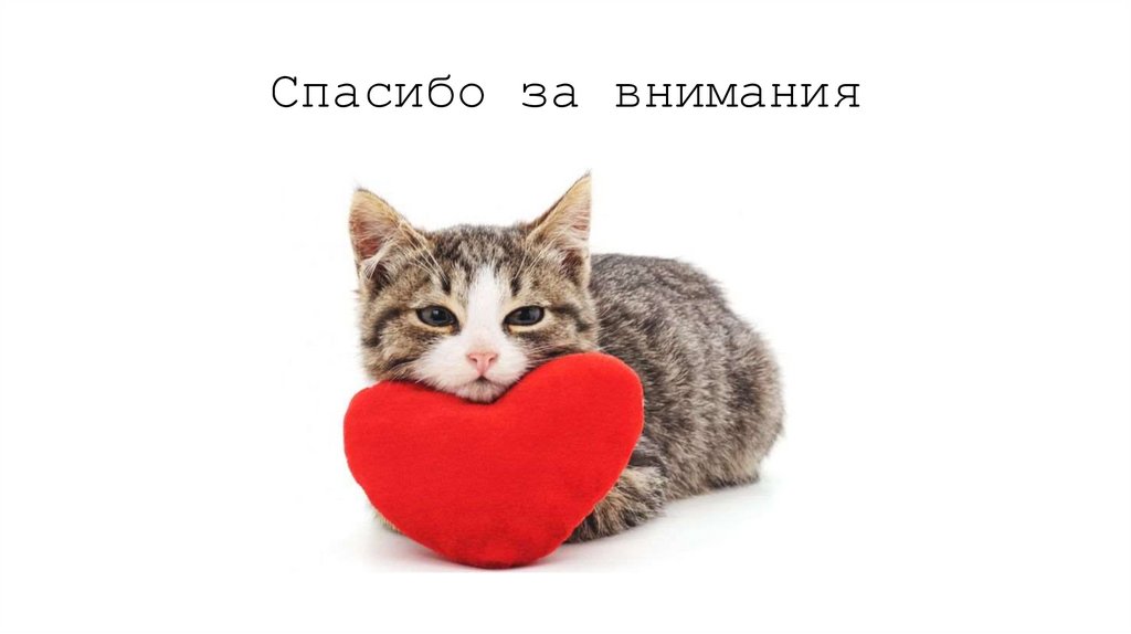 Спасибо за внимания