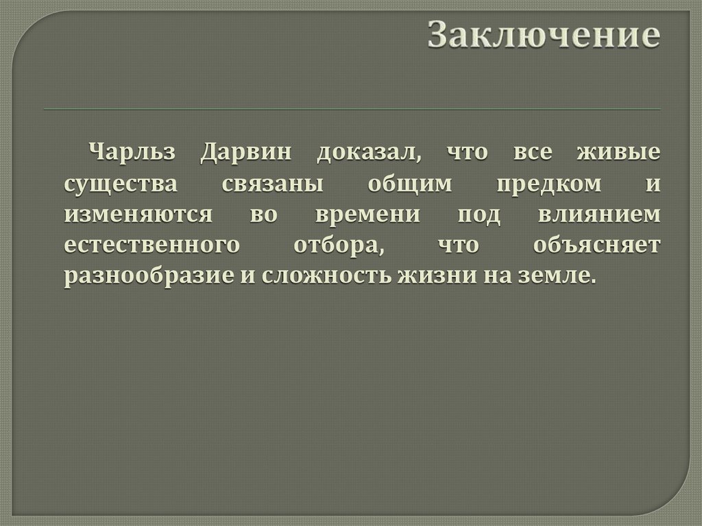 Заключение